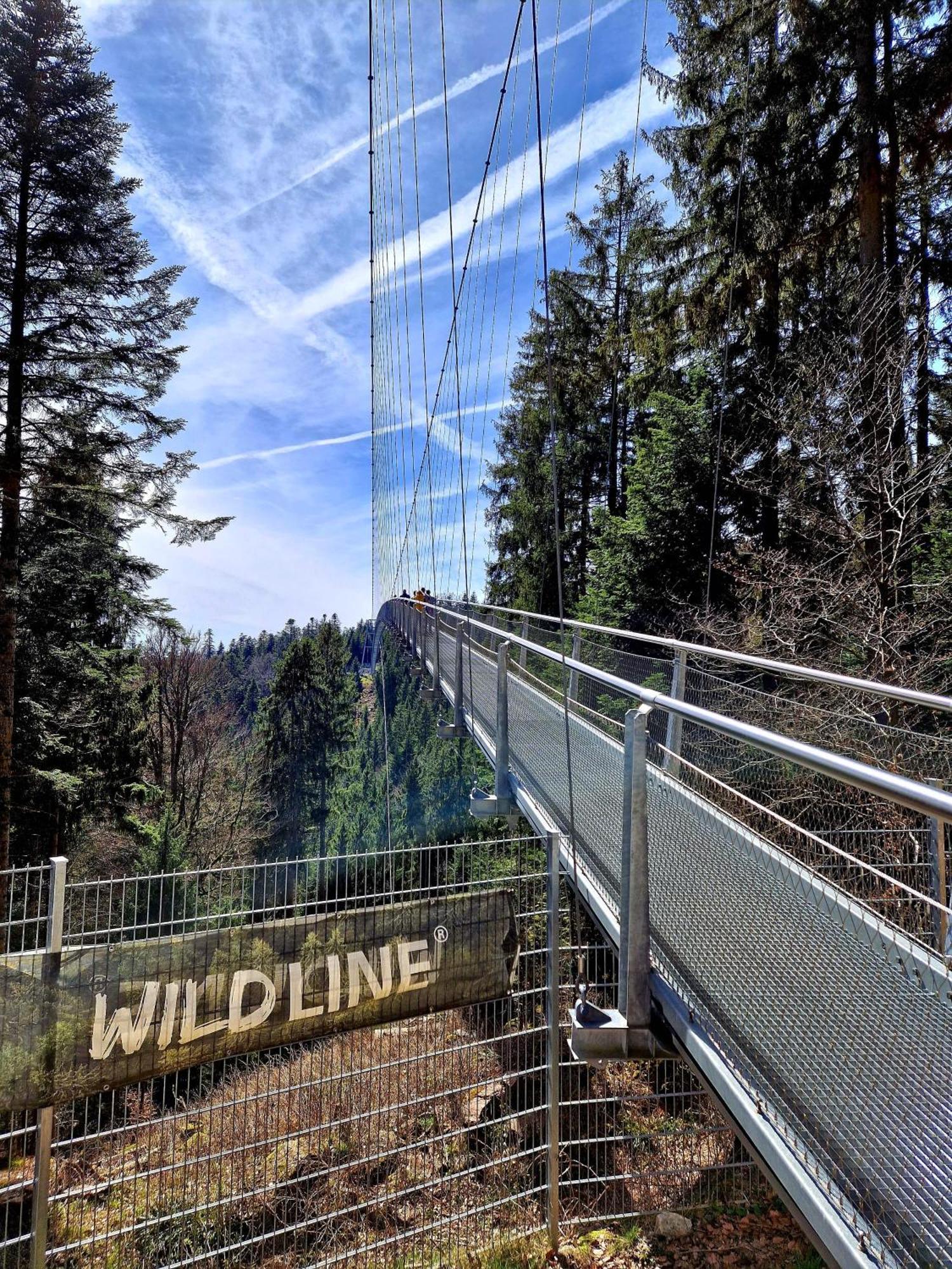 Aparthotel Schwarzwald Panorama Bad Wildbad Dış mekan fotoğraf